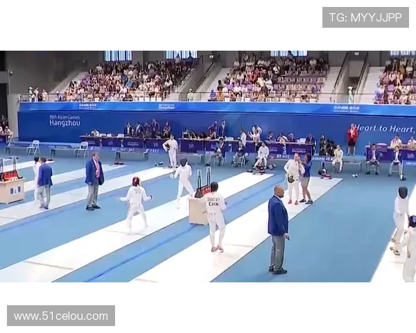 杭州排球队转型纪实：从传统到现代的奋斗与蜕变之路